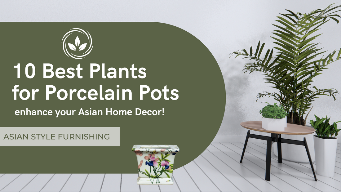 10 Best Plants for Porcelain Pots to Enhance Your Asian-Style Home Decor